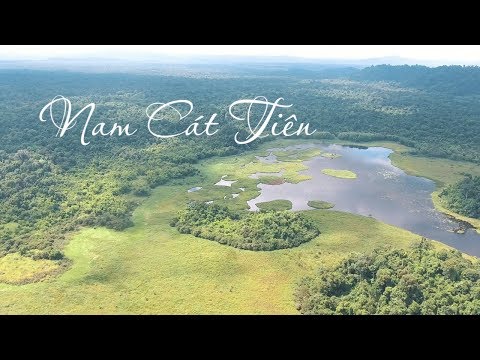 Video Rừng quốc gia Nam Cát Tiên tuyệt đẹp qua góc máy Flycam - youtube