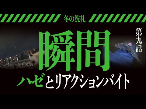 【ハゼ釣り】2023年1月14日 豊洲運河のち豊洲ぐるり公園の釣行 〜左手はそえるだけ