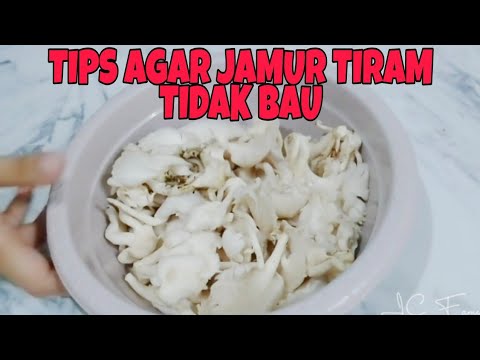 Resep Jamur Tiram Agar Tidak Bau