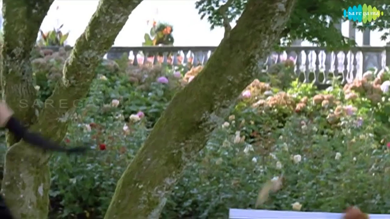 Chori Chori Chupke Chupke Amazing Song.....Sk. Najib - YouTube