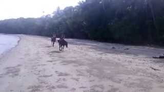 VID_20141230_144945.mp4
