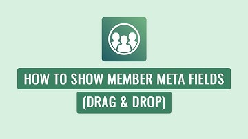 Smart Team Pro - How To Show Member Meta Fields (Drag & Drop)