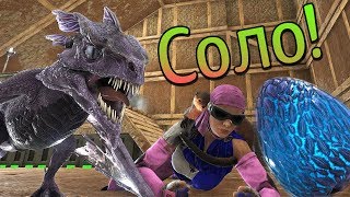ARK Survival Evolved на карте Ragnarok - Первое яйцо Виверны! Молоко, выращивание детёныша - (19) ARK Survival Evolved на карте Ragnarok - Первое яйцо Виверны! Молоко, выращивание детёныша - (19)