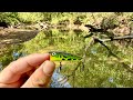 Did all the bass leave? Fall Creek Fishing