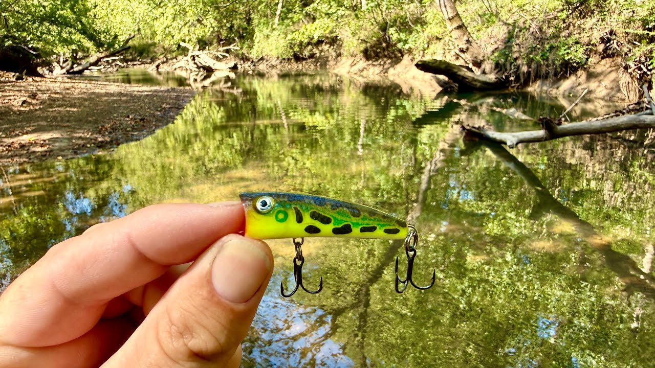 Creek Fishing Adventures