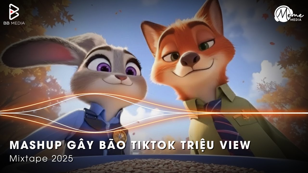 Mashup Remix Gây Bão TikTok - Sự Ưu Tiên Của Em , Họa Sĩ Tồi , Anh Đã Không Biết Cách Yêu Em