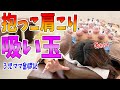 【肩こり 吸い玉 奈良】肩こりに吸い玉&整体でリベンジ！３児の子育てママの肩こりに吸い玉してみました【奈良の鍼灸・整体・カッピング えにし堂鍼灸整骨院】