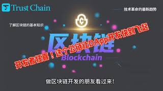 开发者狂喜!这个公链让DApp开发快到飞起