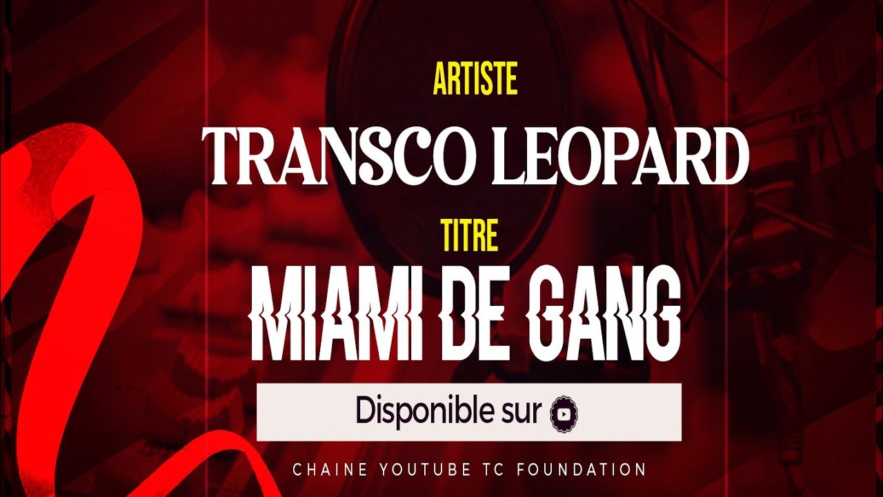 TRANSCO LEOPARD MIAMI DE GANG