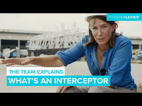 Interceptor Explained by