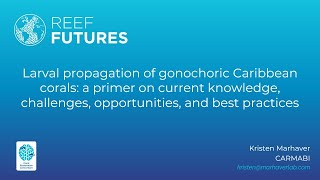 Larval propagation of gonochoric Caribbean corals