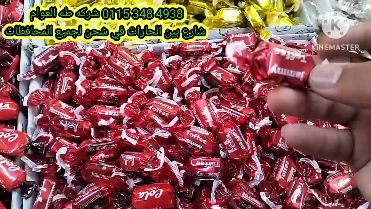 مشروع الأغنياء ارباح 30الف ج شهريافي مصر وبس هيغير حياتك للابل#مشروع أرباحه خاليه البيت #shortsبينto