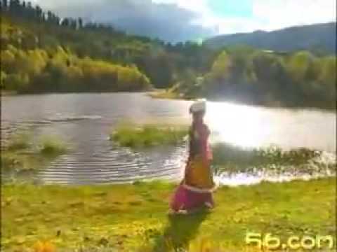 Tibetan Culture flourishing (Yangchen Lhamo) #468