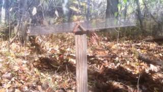 Spherical Obscenity - Dark Forest Devil (music video)