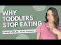 Toddler Feeding Battles: 3 Tips to End the Stress &amp; When to Get Help