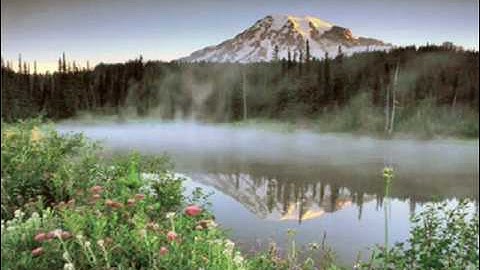 Abe ~ Focus wheel on money