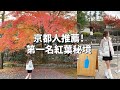 京都人推薦!第一名紅葉秘境🍁|日本VLOG|京都最美藍瓶咖啡!黑毛和牛炸牛排!京都排隊美食|倫倫 LunLun