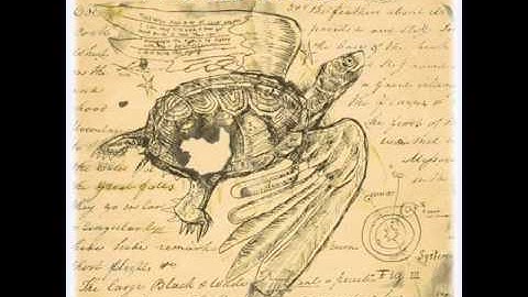 Mechanical.Flying.Turtles