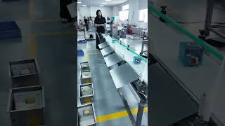 Weight sorter – automatic weighing and intelligent sorting. #machine #factoryproducts