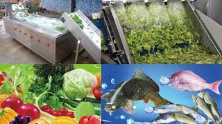 Video of Vegetable Washing Machine|Bubble Type Washing Machine For Fish,Date,Mushrooms
