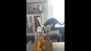 79755139644 747F75EB F634 407B B213 D889C1DDC611 79755139644 747F75EB F634 407B B213 D889C1DDC611