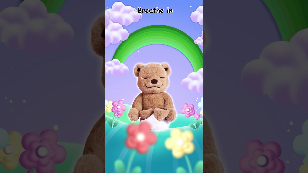 Relax with Rainbows and Meddy Teddy 