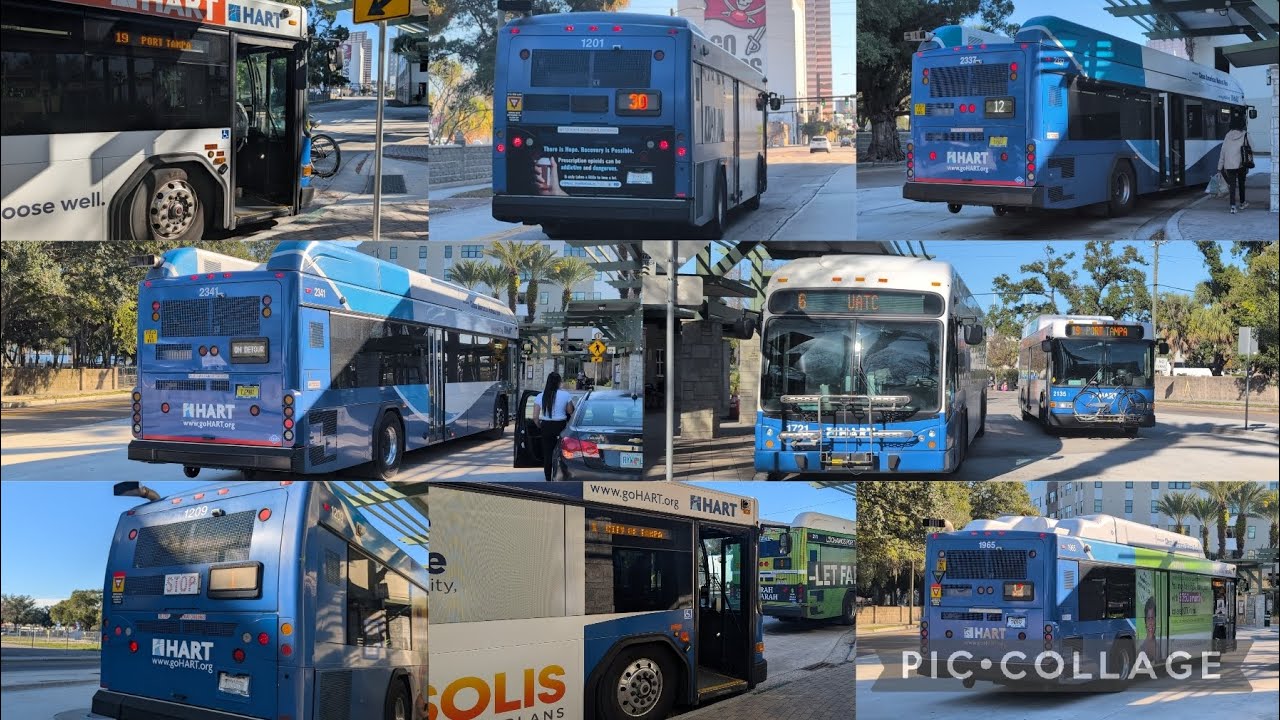 Hart buses at Marion Transit Center 