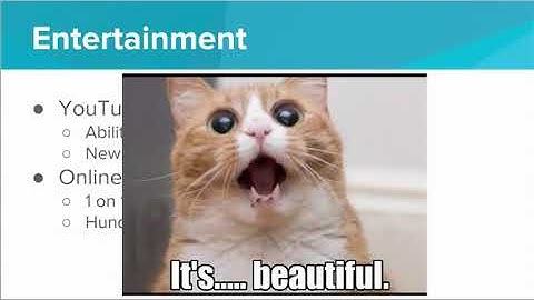 Impact of the Internet