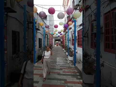 Video: Jorjtaun atrofida sayohat, Penang