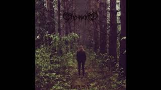 Download Lagu Shadowland - L​.​O​.​S​.​T. (Full-length : 2016) Atmospheric Black Metal/Ambient From Russia. MP3