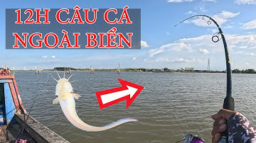 ĐIỂM CÂU RẤT NHIỀU CÁ NGÁT TẠI CỬA BIỂN BÌNH ĐẠI LẦN ĐẦU CÂU ĐƯỢC CÁ NGÁT BẠCH TẠNG