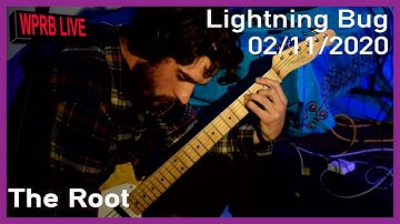Lightning Bug - The Root | WPRB Live