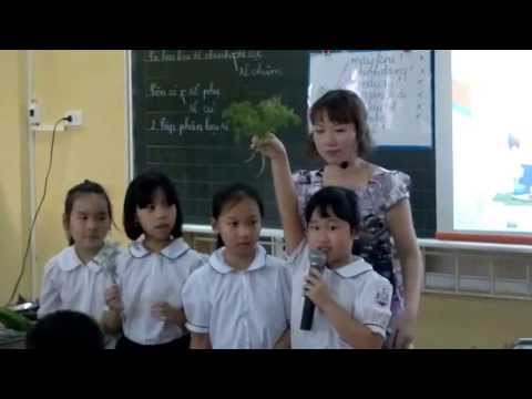 Video Rễ cây - Lớp 3 - Tiểu học Thành Công B - Hà Nội - YouTube