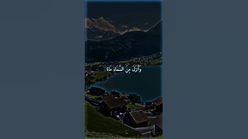 تلاوة خاشعة من سورة البقرة #قرآن #المصحف #تلاوة_خاشعة #راحة_نفسية #اكسبلور #لايك
