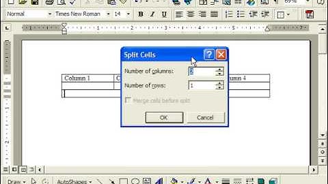 Word 2003 Tutorial Merging and Splitting Cells Microsoft Training Lesson 16.5