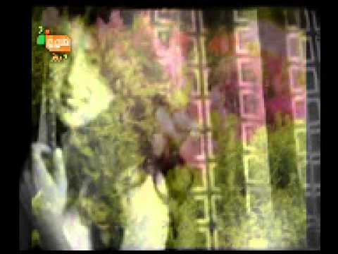احمد ظاهر ای جان من