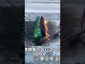 マイナス50度、漠河の冬が異次元すぎる