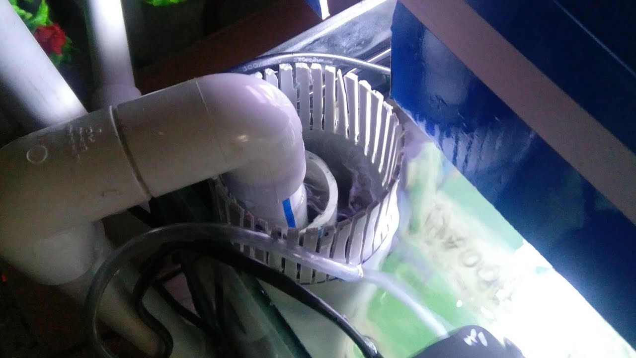 DIY Automatic Bottom Sweeper/Cleaner For Bare Bottom Aquarium And The
