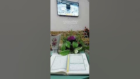 عندما تبحث عن النور في زمن الظلمة أدعوك لقراءة سورة الكهف يوم الجمعة.