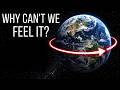 Why Does Everything in the Universe Spin?