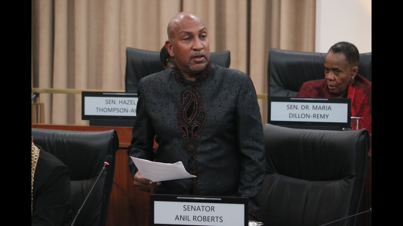 Сенатор Анил Робертс. Прямая трансляция из Сената. 5 декабря 2025 года.