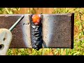 Only A Few Can Weld Like This | 3G Welding Test in Vertical Position