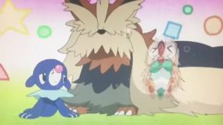 Wake up Rowlet Wake up Rowlet