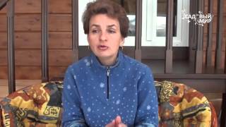 Как сажать малину. Сайт "Садовый мир" Как сажать малину. Сайт "Садовый мир"