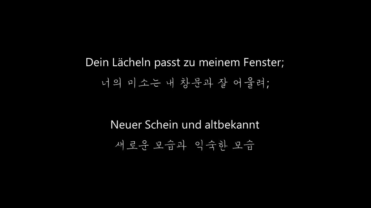 [독일노래 가사/해석]Das ist dein Leben_Lyrics 