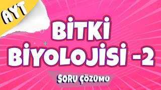 Bitki Biyolojisi -2 Soru Çözüm Ayt 2022