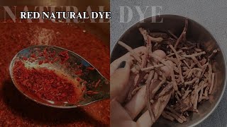 How to do Natural dye on fabric at home✅ Red natural Dye with Madder/ Madder dye/ Fabric Dye at home