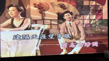 Thumbnail of 心头恨 K歌 绝版LD 8/9/16