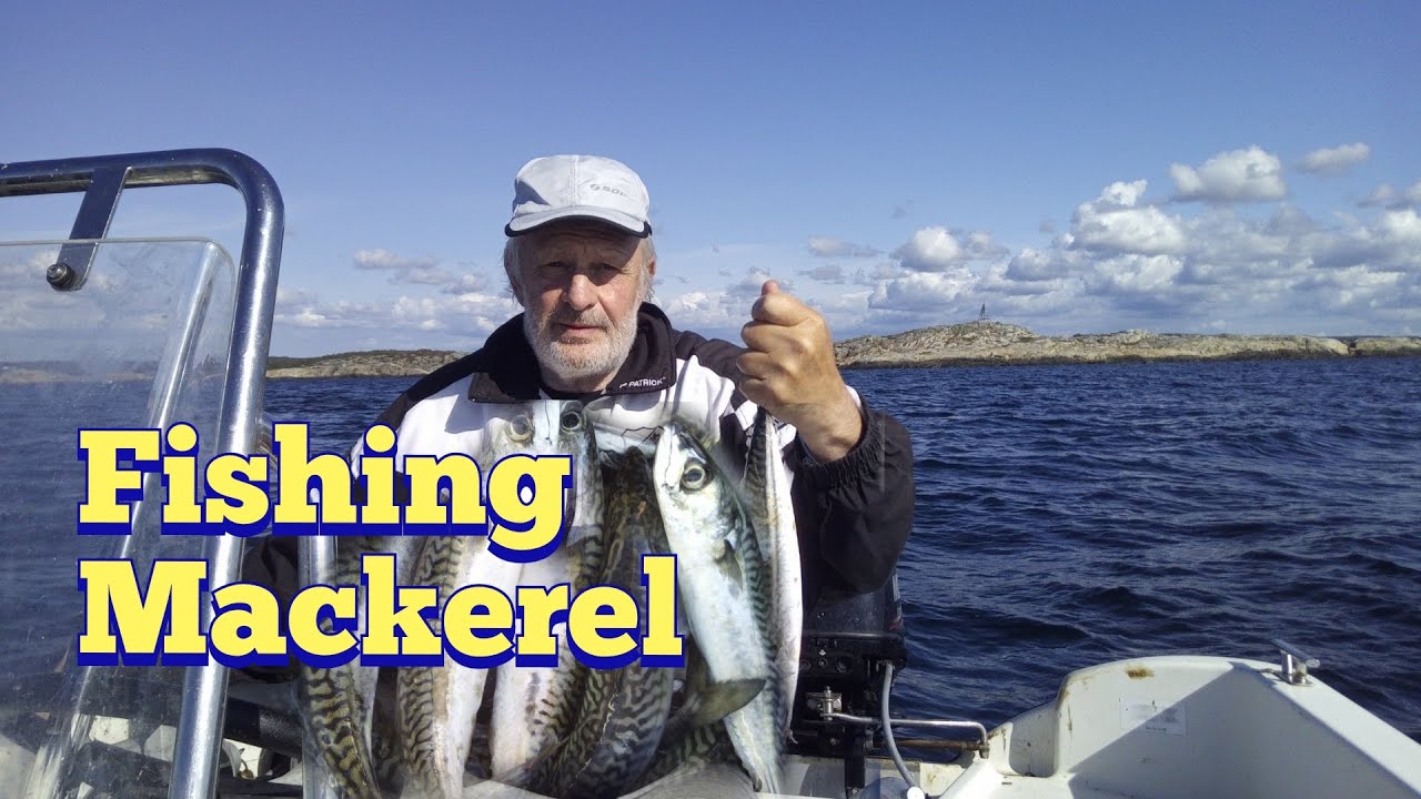 fishing tour gothenburg