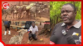 WANYAMA PUNDA WANAVYOFANYISHWA KAZI NGUMU MIGODINI - WATETEZI wa HAKI za WANYAMA WATINGA....